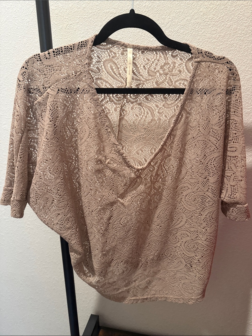 DNA couture Sheer Lace V-Neck Blouse in Taupe